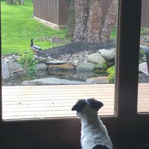 Meet your Posher, Marianne